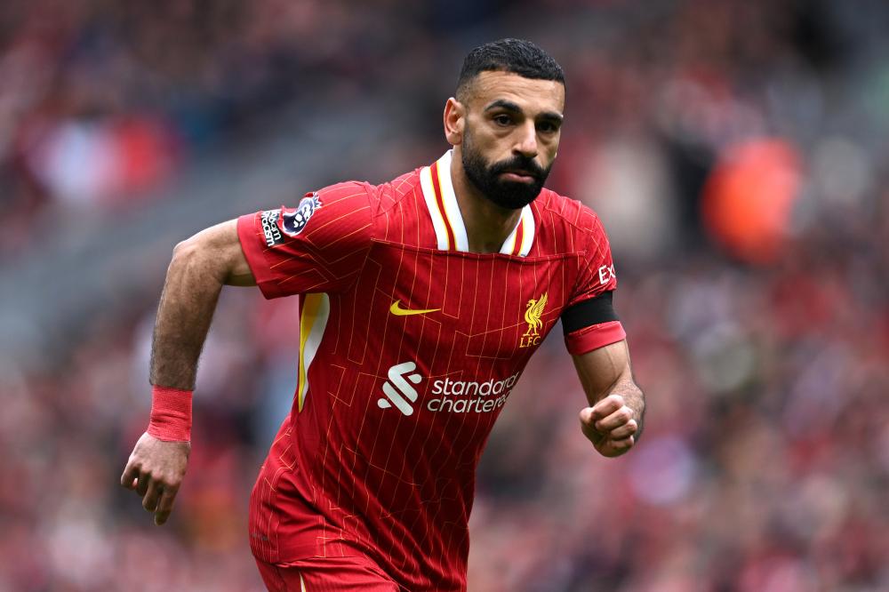 季开了个好 季开了个好